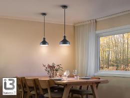 IRIAS LAMPARA 1L NEGRO-COBRE - ILUMINACION i3 By SCHULLER