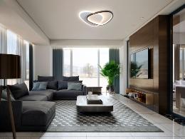 ROMO PLAFON BLANCO-NEGRO - SCHULLER